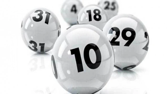 Khám Phá Thế Giới Đá Gà Trực Tiếp